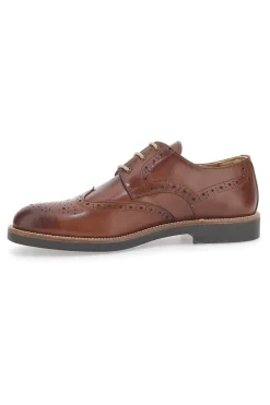 Scarpe Stringate Marroni Con Ricamo All'Inglese Pittarello 8023