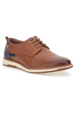 Scarpe Stringate Marroni con Lacci Sevenoaks 93349