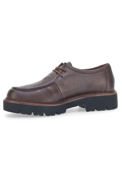 Scarpe Stringate Marroni In Pelle Plocadi 15630