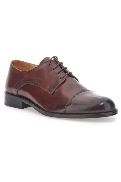 Scarpe Stringate Marroni in Vera Pelle Pittarello Plus 613