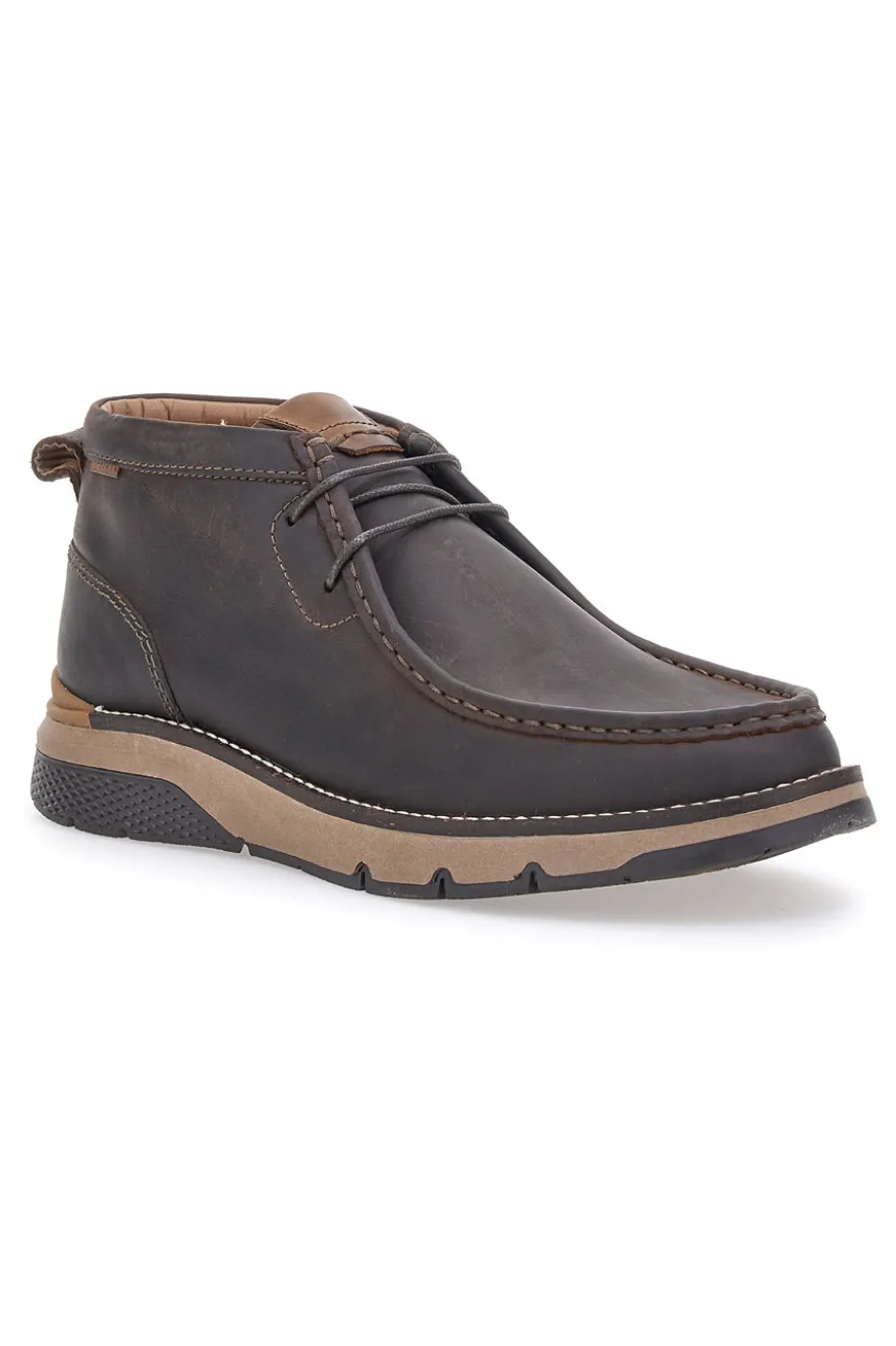 Scarpe Stringate Marroni Altemberg 2322