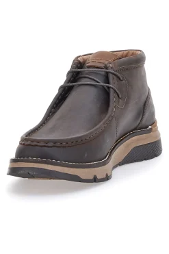 Scarpe Stringate Marroni Altemberg 2322