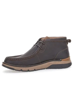 Scarpe Stringate Marroni Altemberg 2322