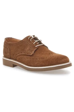 Scarpe Stringate Marroni In vera Pelle Scamosciata Pittarello 1112