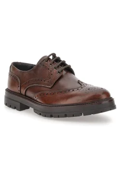 Scarpe Stringate Marroni Con Decorazione Duilio Pittarello Focus 2240
