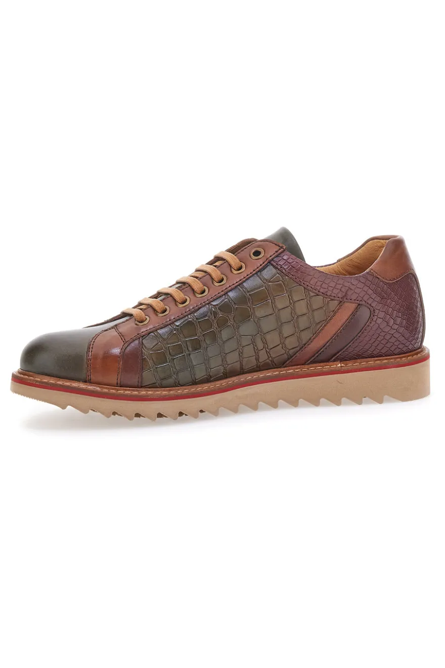 Scarpe Stringate Marroni e Verdi In Vera Pelle Made in Italy Pittarello Plus PT325