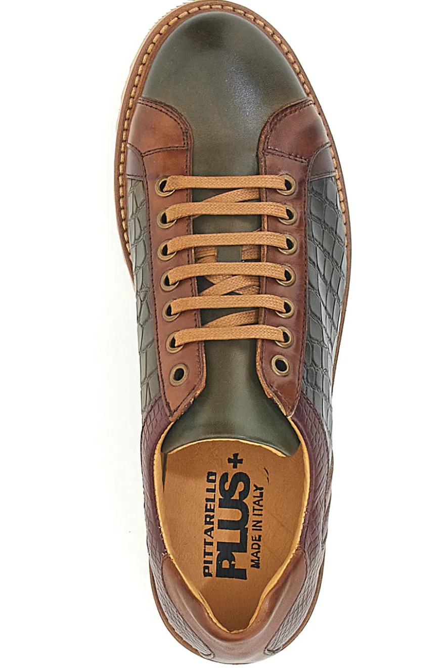 Scarpe Stringate Marroni e Verdi In Vera Pelle Made in Italy Pittarello Plus PT325
