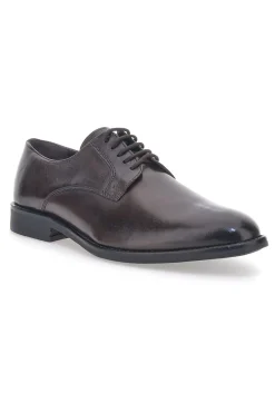 Scarpe Stringate Marroni Max Dillan 6001