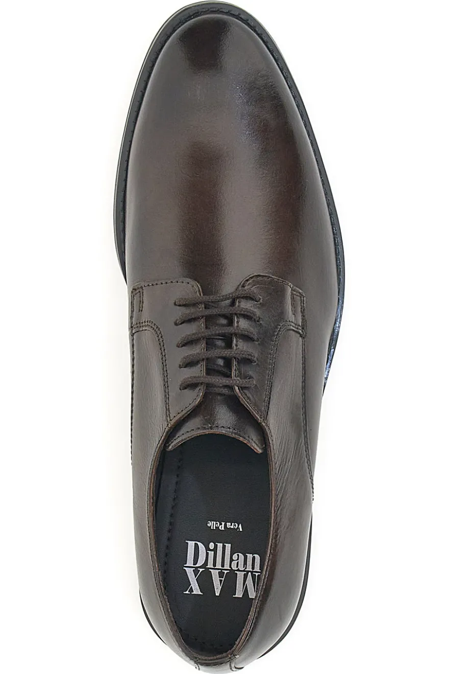 Scarpe Stringate Marroni Max Dillan 6001