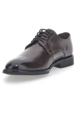 Scarpe Stringate Marroni Max Dillan 6001