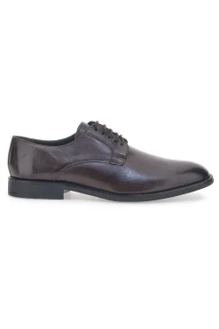 Scarpe Stringate Marroni Max Dillan 6001