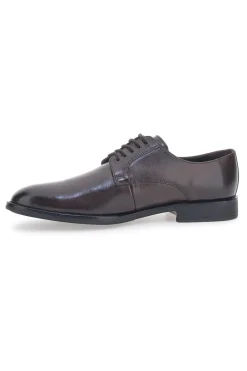 Scarpe Stringate Marroni Max Dillan 6001