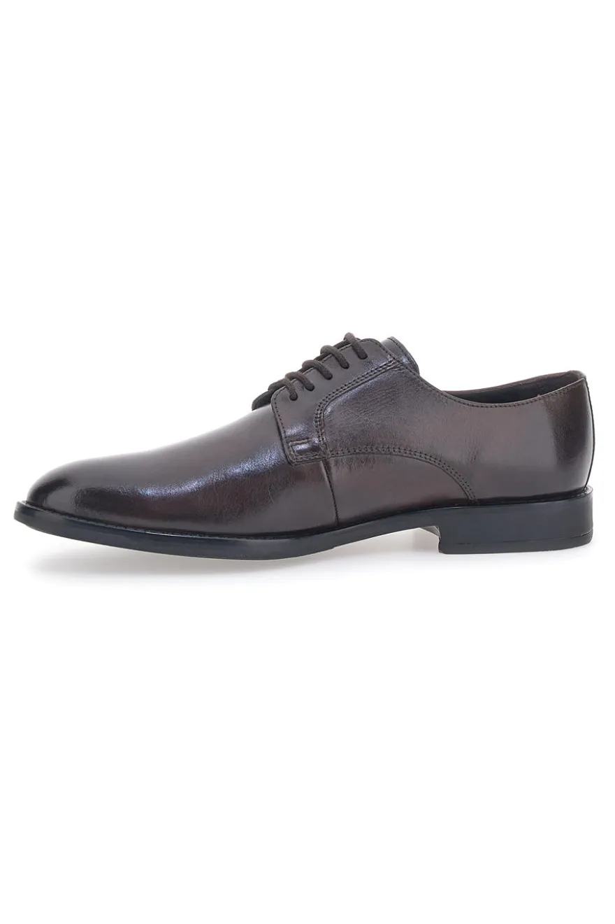 Scarpe Stringate Marroni Max Dillan 6001