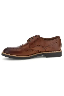 Scarpe stringate marroni in pelle Pittarello 8023