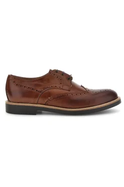 Scarpe stringate marroni in pelle Pittarello 8023