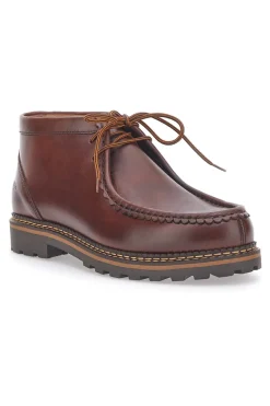 Scarpe Stringate Marroni Pittarello Plus 12108