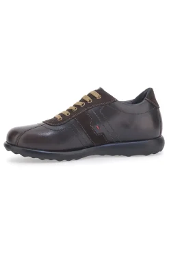 Scarpe Stringate Marroni Jerpoint 1901