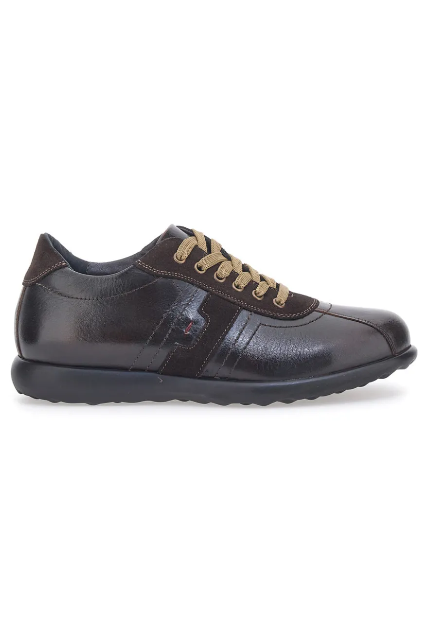 Scarpe Stringate Marroni Jerpoint 1901