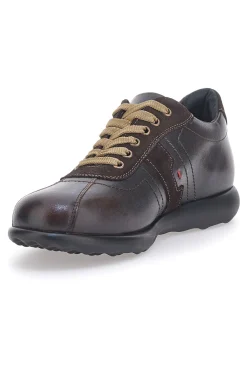Scarpe Stringate Marroni Jerpoint 1901