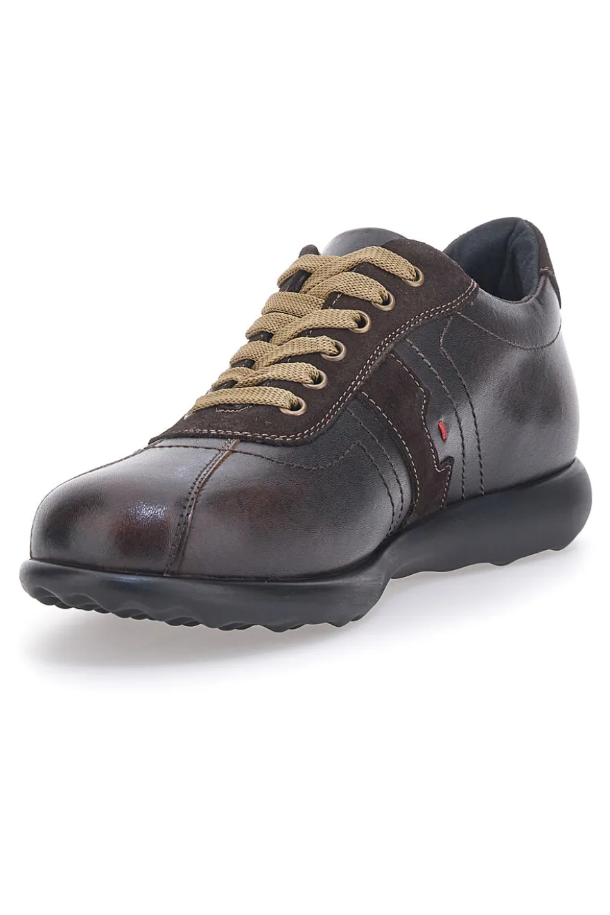 Scarpe Stringate Marroni Jerpoint 1901