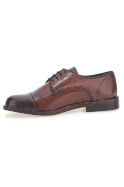 Scarpe Stringate Marroni In Pelle Made in Italy Pittarello Plus PT620