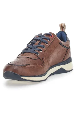 Scarpe Stringate Marroni Johes Land 200201