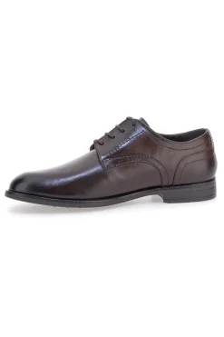 Scarpe stringate marroni vera pelle Pittarello class 300