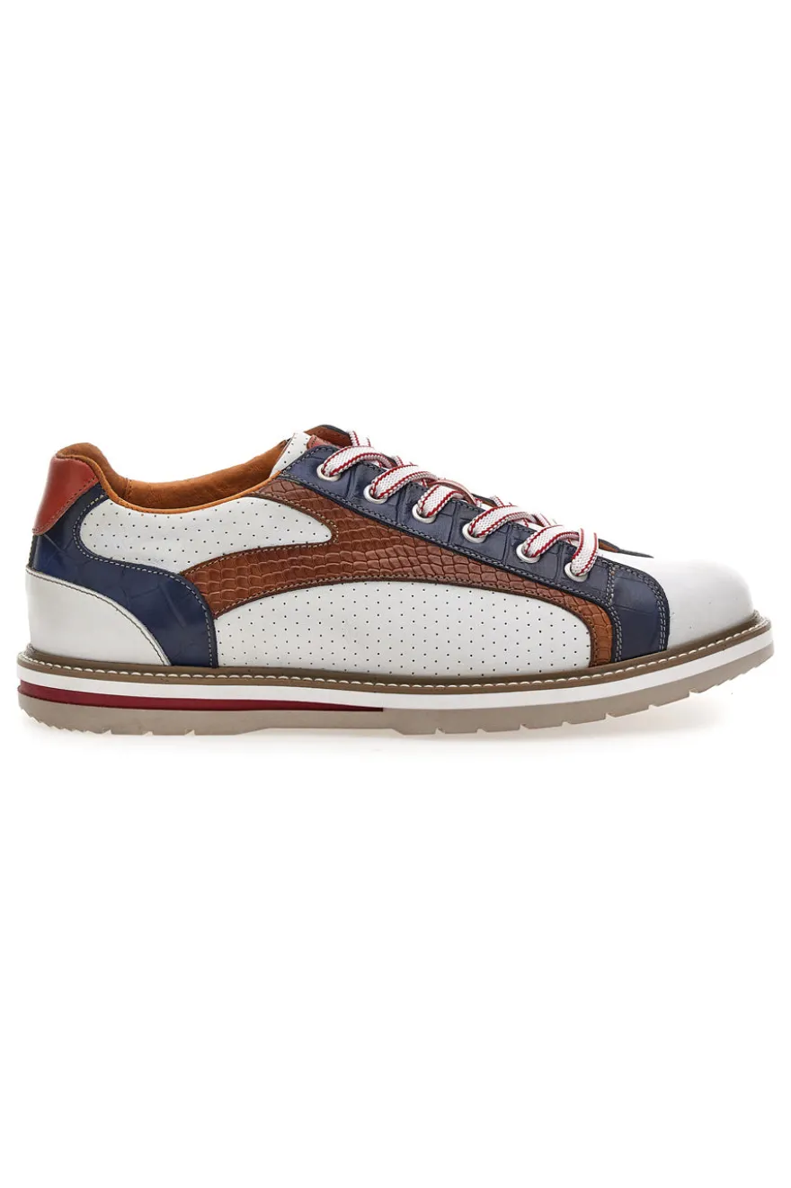 Scarpe Stringate multicolore traforate in pelle Pittarello Eco 26122858