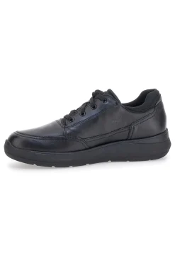 Scarpe Stringate Nere in Vera Pelle con Soletta Memory Foam PITTARELLO TIERRA 22105792
