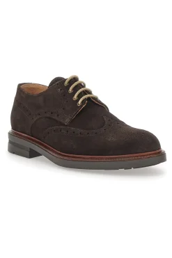 Scarpe Stringate Pittarello 8058 Marroni