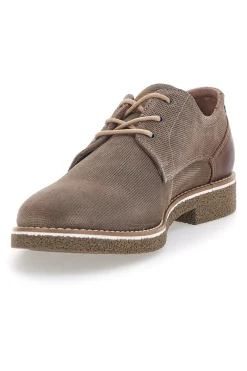 Scarpe Stringate Taupe Pittarello Eco 51005