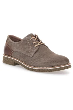 Scarpe Stringate Taupe Pittarello Eco 51005