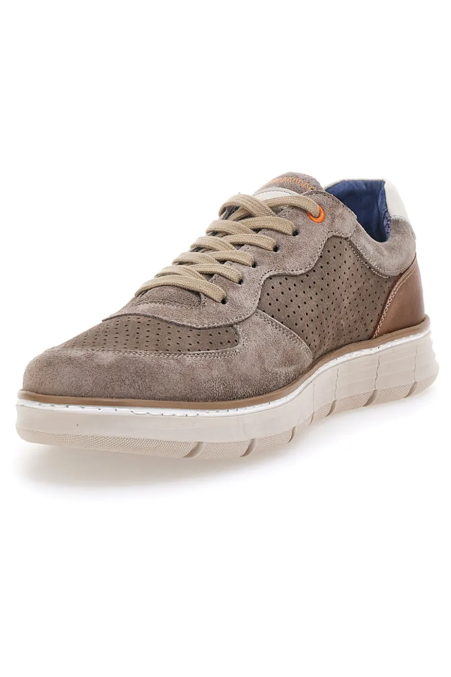 Scarpe stringate taupe traforate con zip laterale Pittarello eco 26111008