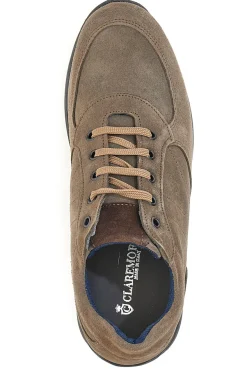 Scarpe Stringate Tortora Claremorris 1901