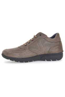 Scarpe Stringate Tortora Claremorris 1901