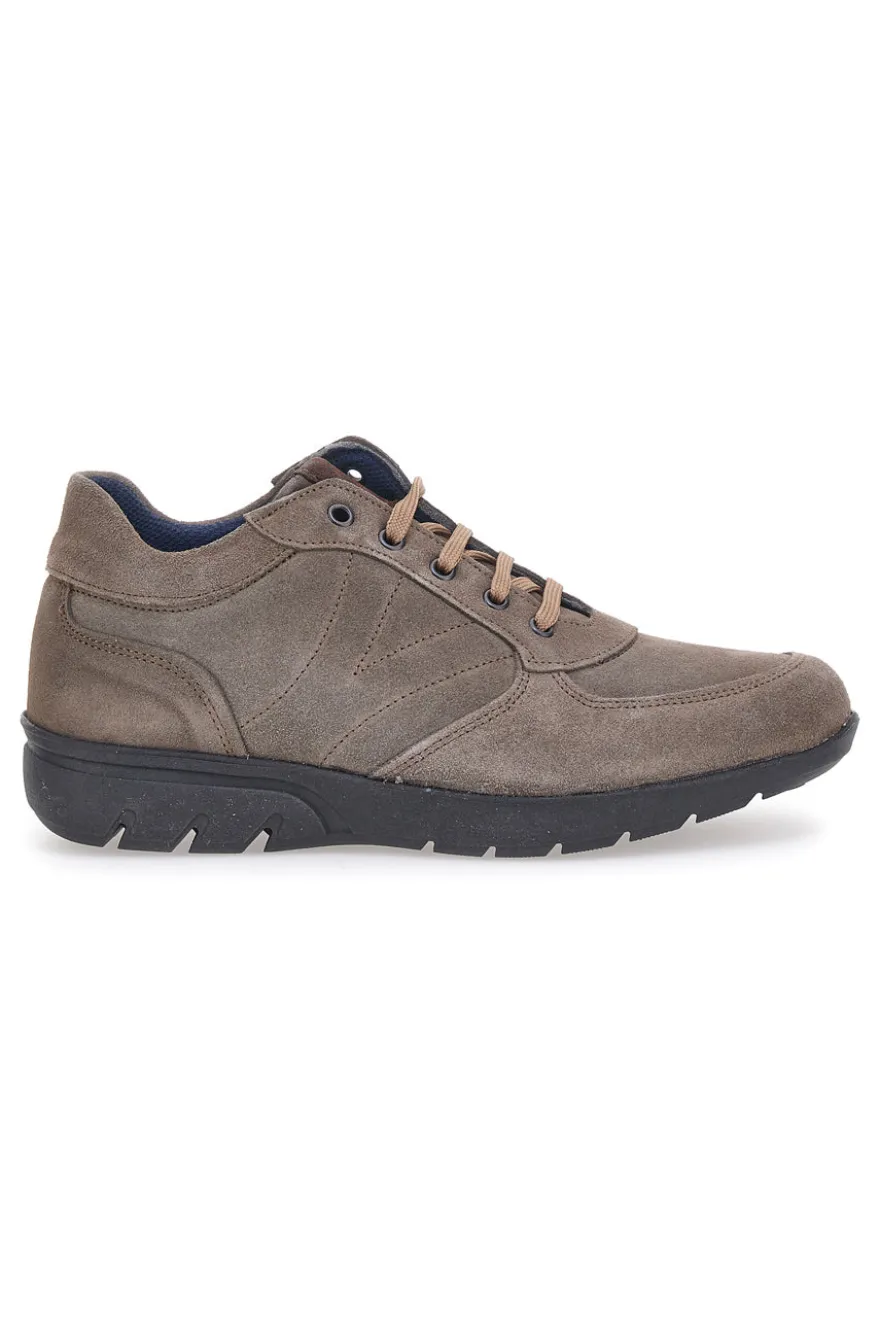 Scarpe Stringate Tortora Claremorris 1901