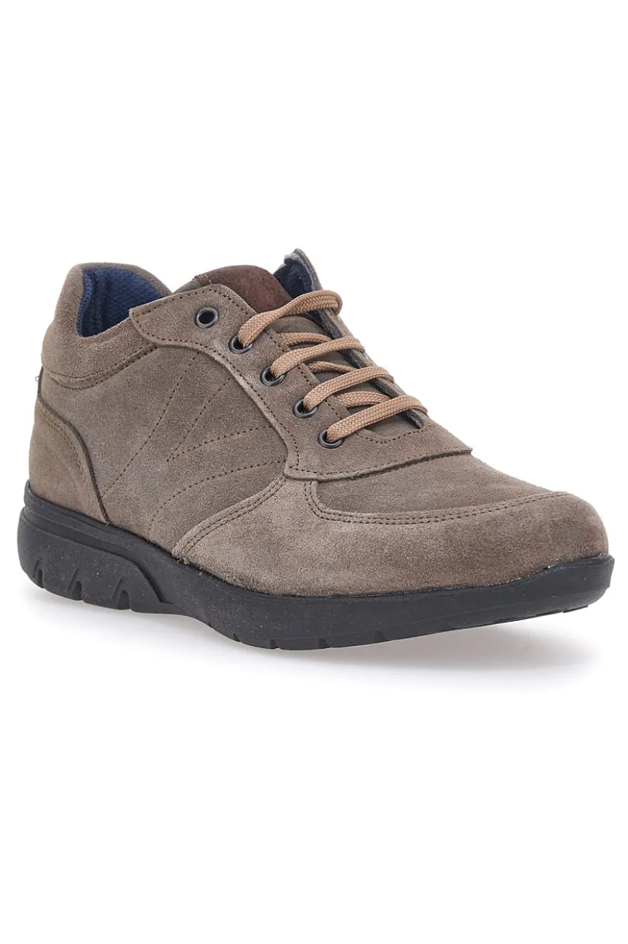 Scarpe Stringate Tortora Claremorris 1901