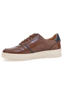 Sneakers in pelle marroni PTR 3001