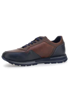 Sneakers marroni e blu in pelle con zip laterale Pittarello eco 25275003
