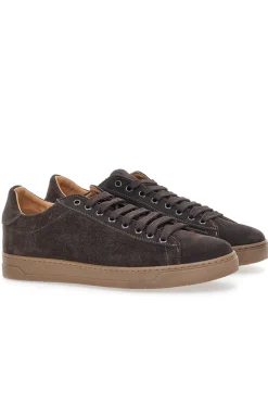 Sneakers marroni in camoscio con suola a contrasto Ptr 3021