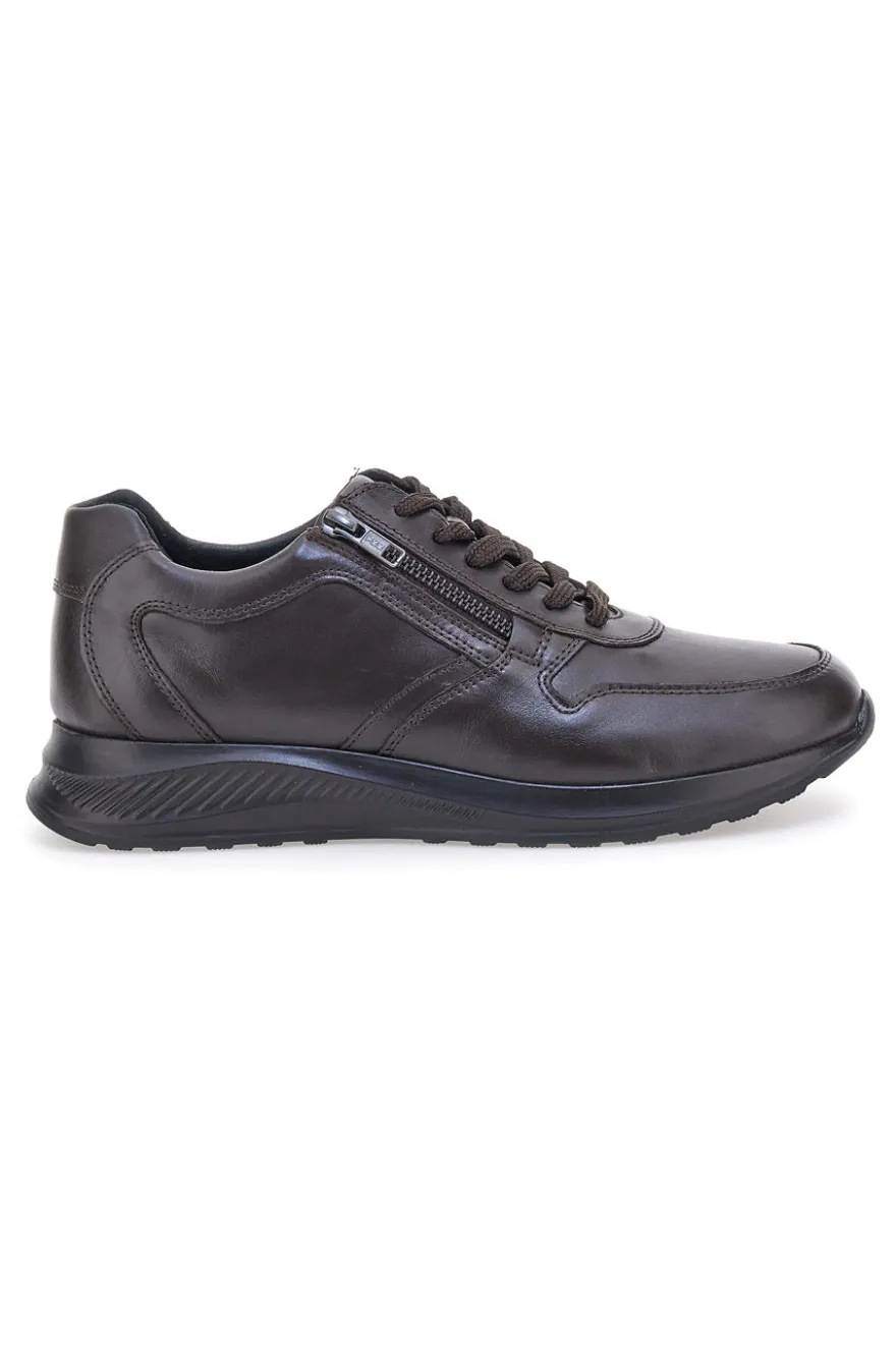 Sneakers marroni in pelle con zip laterale Claremorris 23066510