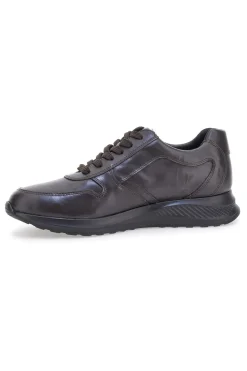 Sneakers marroni in pelle con zip laterale Claremorris 23066510