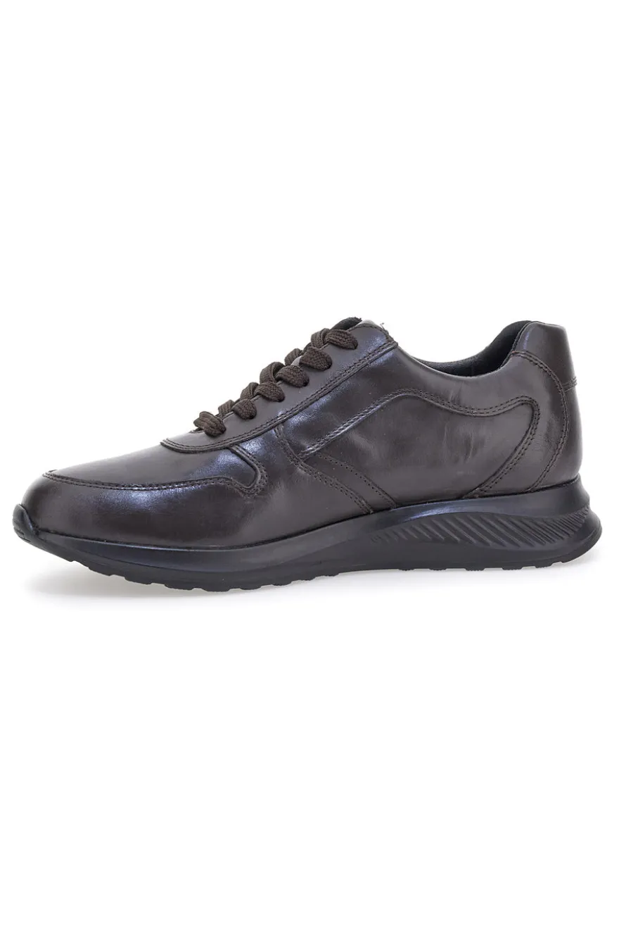 Sneakers marroni in pelle con zip laterale Claremorris 23066510