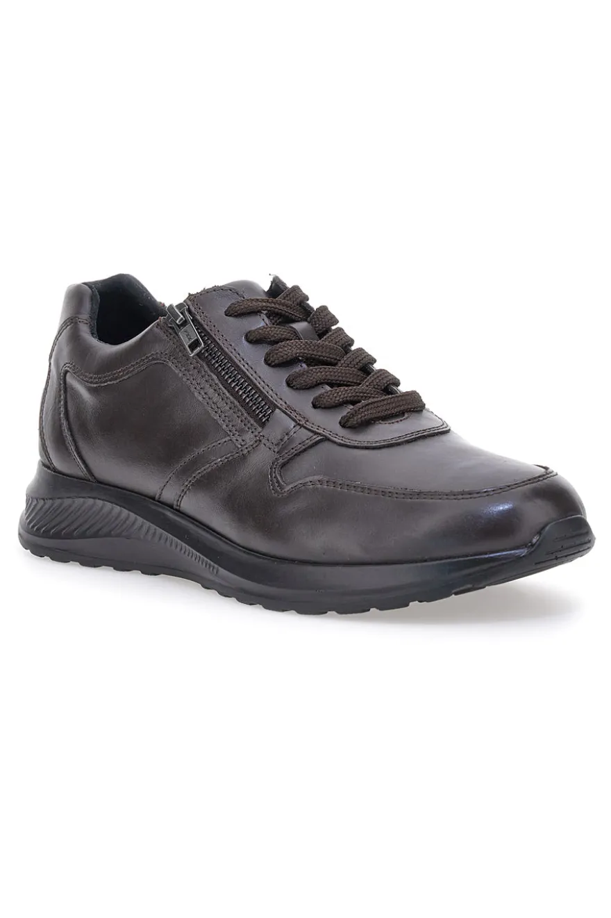 Sneakers marroni in pelle con zip laterale Claremorris 23066510