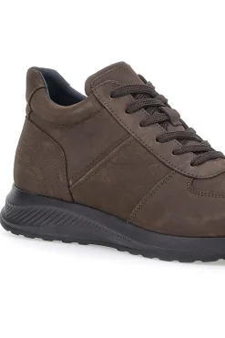 Sneakers marroni in pelle con zip laterale Pittarello 24097621 da Uomo
