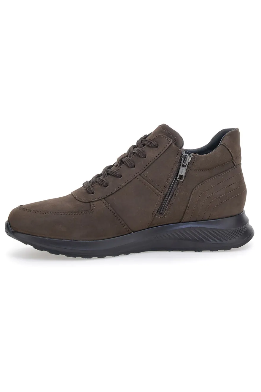 Sneakers marroni in pelle con zip laterale Pittarello 24097621 da Uomo
