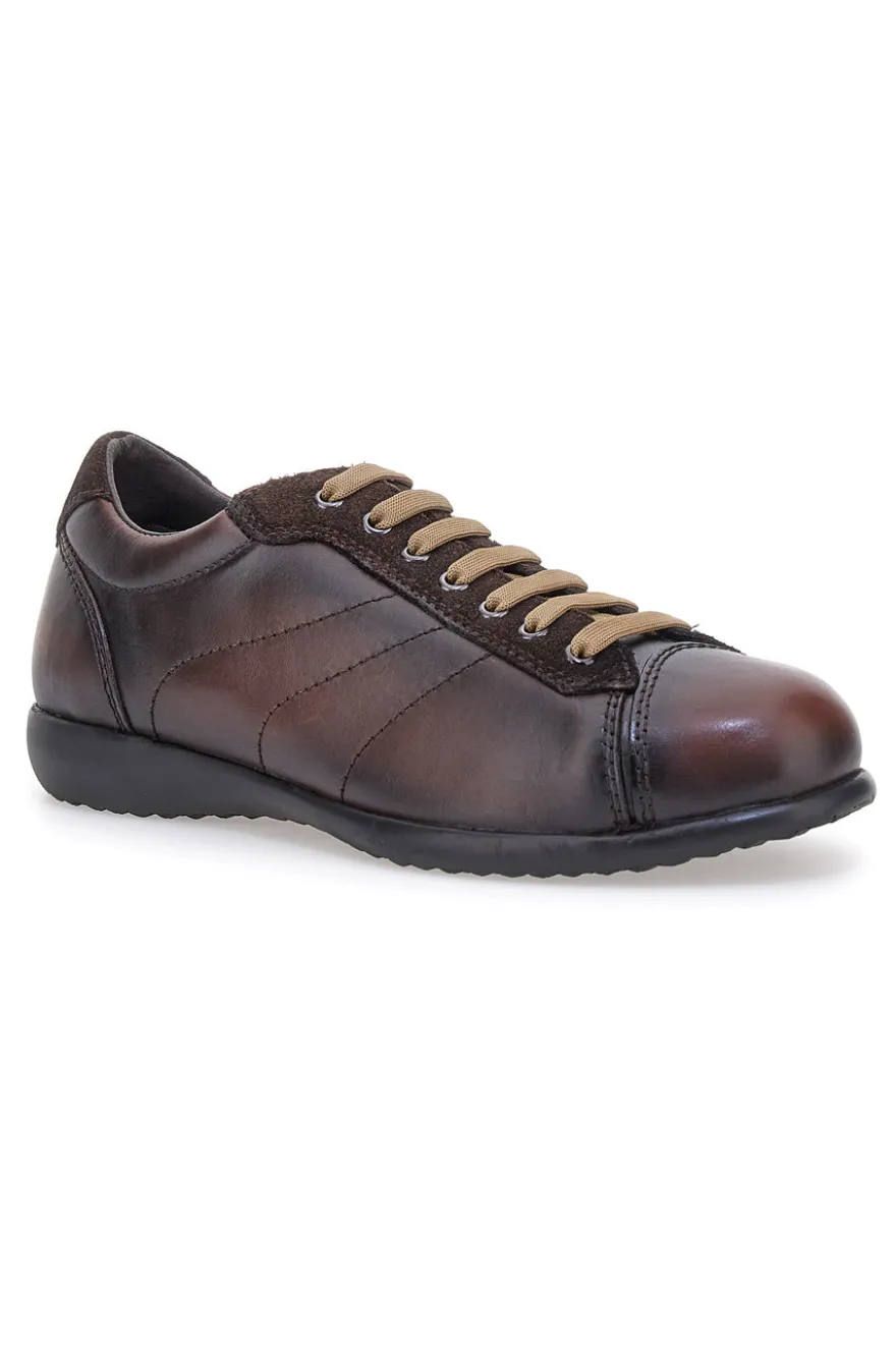 Sneakers marroni in vera pelle con finitura sfumata Pittarello 22095681
