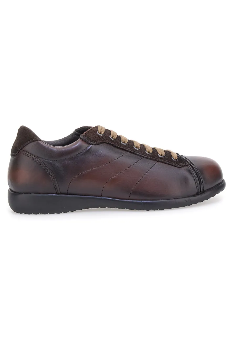 Sneakers marroni in vera pelle con finitura sfumata Pittarello 22095681