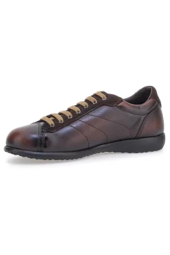 Sneakers marroni in vera pelle con finitura sfumata Pittarello 22095681