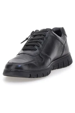 Sneakers nere con lacci e zip laterale Claremorris 24117840